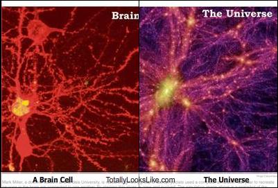 [Image: braincell-universe.jpg]